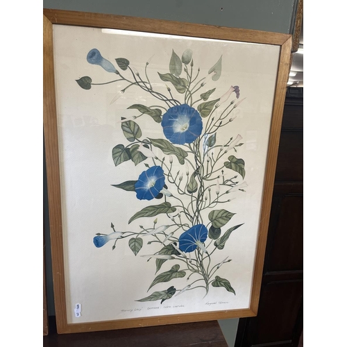 416 - 3 botanical water colours signed Margaret Tarran