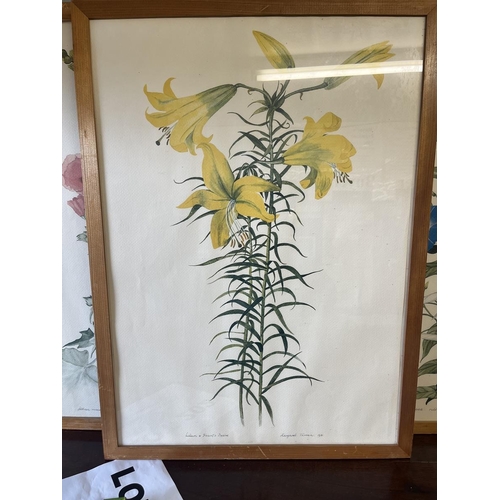 416 - 3 botanical water colours signed Margaret Tarran