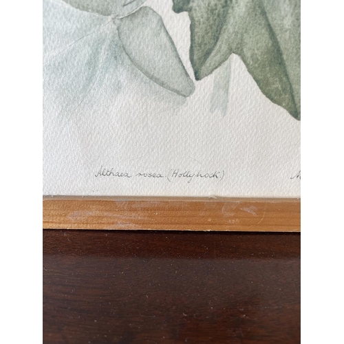 416 - 3 botanical water colours signed Margaret Tarran