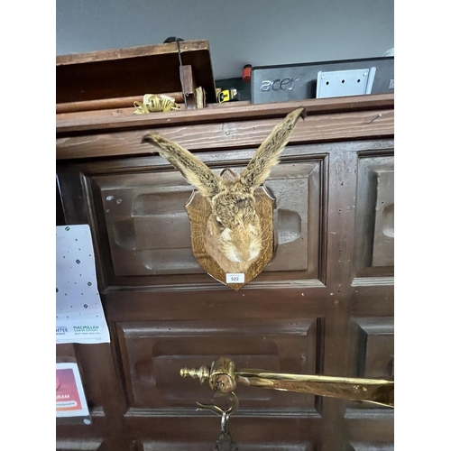 522 - Taxidermy wall mounted hares head