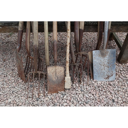 203 - Collection of garden tools