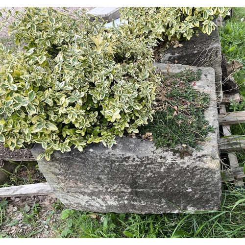 344 - Antique stone trough - Approx length: 60cm