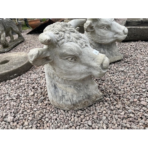 415 - Pair of stone bulls heads - Approx height: 46cm