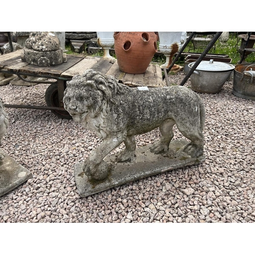 424 - Pair of antique Medici lions - Approx height: 60cm