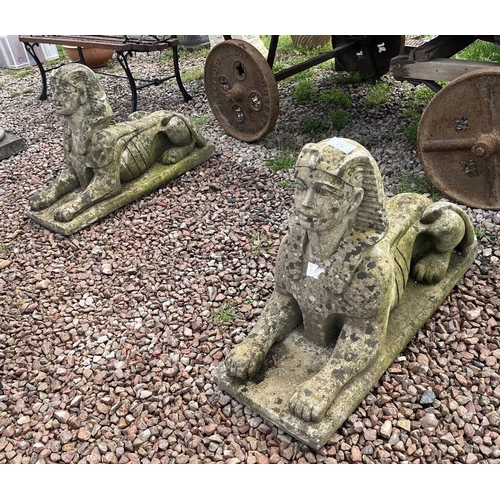 478 - Pair of Sphinx statuesL: 74cm W:29cm H: 48cm approx