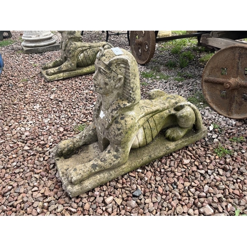 478 - Pair of Sphinx statuesL: 74cm W:29cm H: 48cm approx