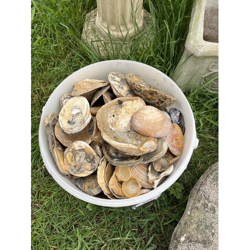 625 - Bucket of sea shells