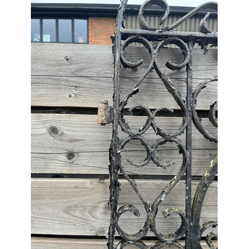 638 - Pair of large and impressive antique driveway gates - Approx width: 252cm