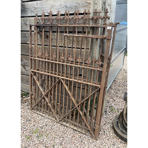 639 - Pair of heavy metal antique gates - Approx width: 250cm