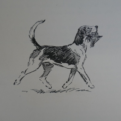 157 - Vintage book - A Dozen Dogs or So illustrated by Cecil Aldin