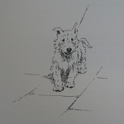 157 - Vintage book - A Dozen Dogs or So illustrated by Cecil Aldin