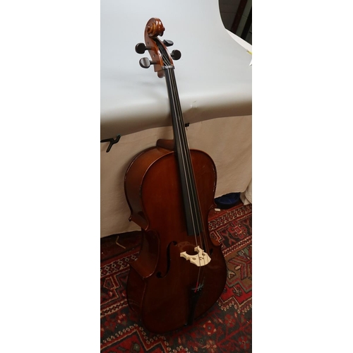 176 - Cello - Stentor student I