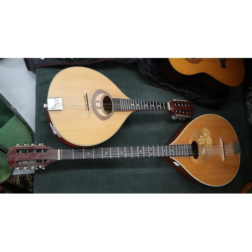 180 - Flat back Bouzouki Irish stringed instrument together with a smaller one