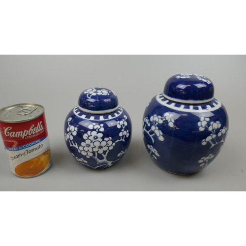 103 - 2 Oriental ginger jars