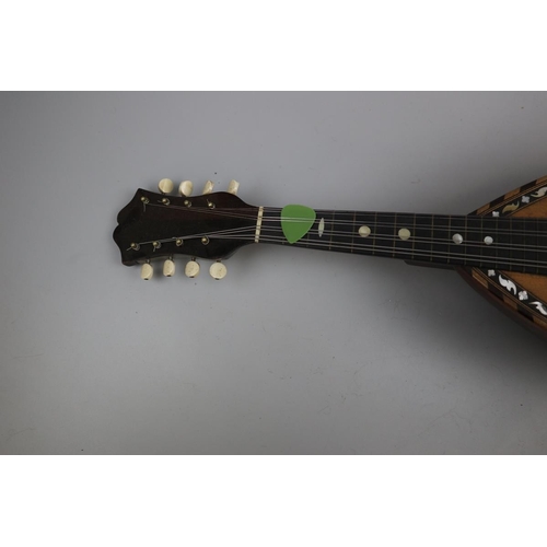 162 - Antique bowlback mandolin in case