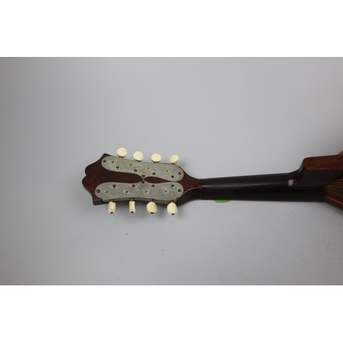 162 - Antique bowlback mandolin in case