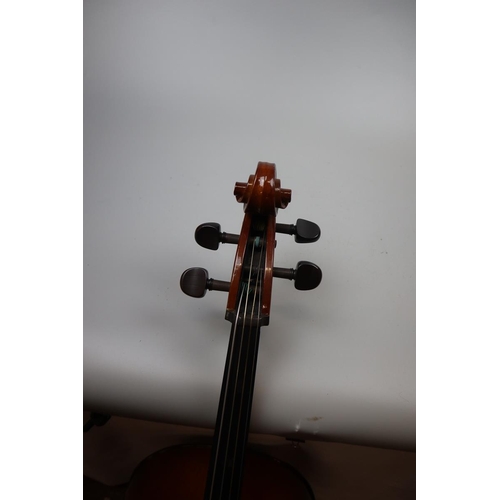 176 - Cello - Stentor student I