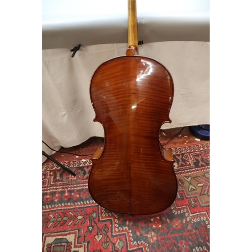 176 - Cello - Stentor student I