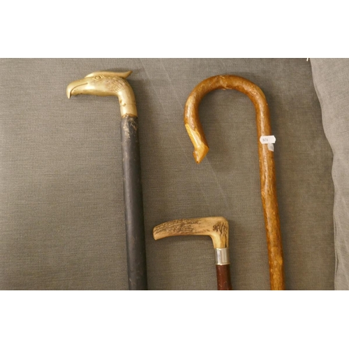 303 - 3 walking sticks