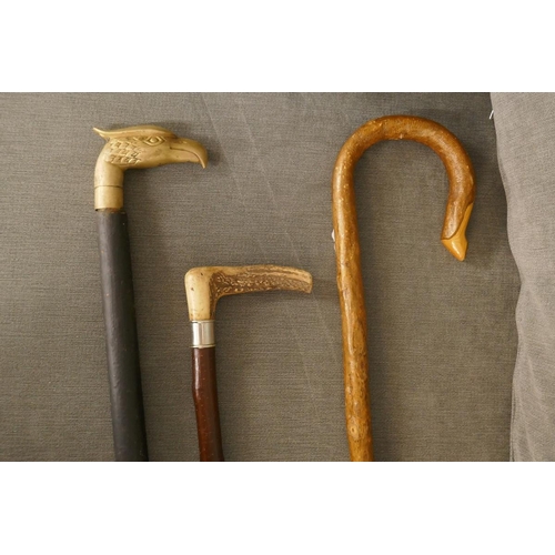 303 - 3 walking sticks