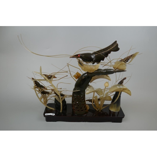 313 - Oriental horn shrimp display