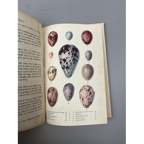 88 - Early 1900's books - British Nesting Birds and Birds Eggs & All About Them