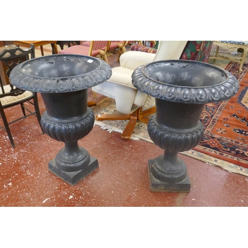 382 - Pair of large cast iron urns - Approx Height 77cm