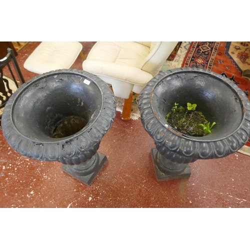 382 - Pair of large cast iron urns - Approx Height 77cm