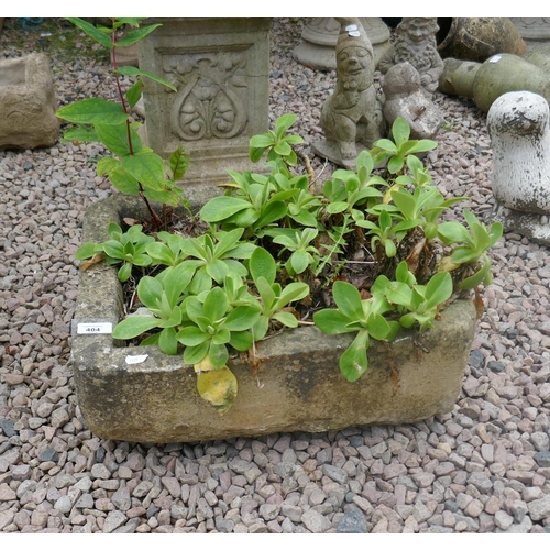 404 - Stone trough with plants