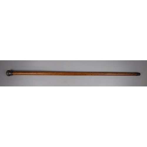 73 - Malacca cane with hallmarked silver pommel