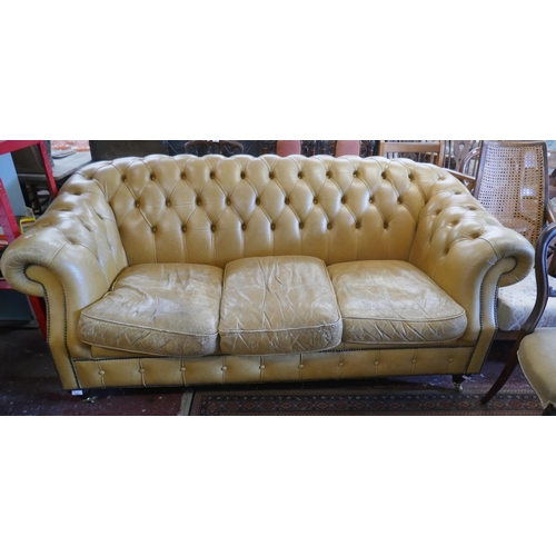 541 - Leather Chesterfield sofa