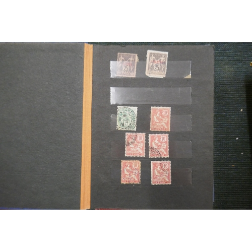 244 - Stamps - France few earlies including SGI in 2 pocket stockbooks