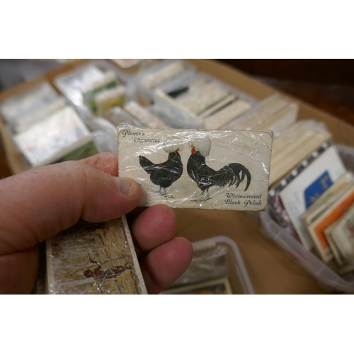 435 - Collection of cigarette cards