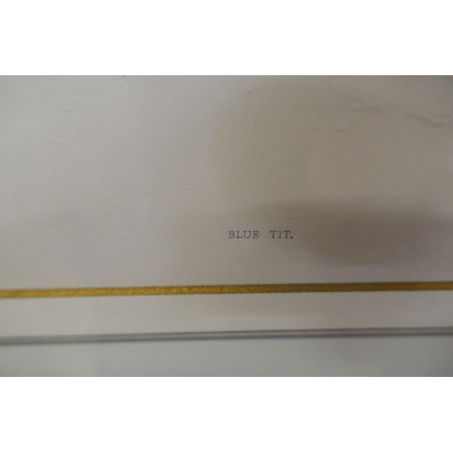 449 - Hand coloured lithograph of a bluetit