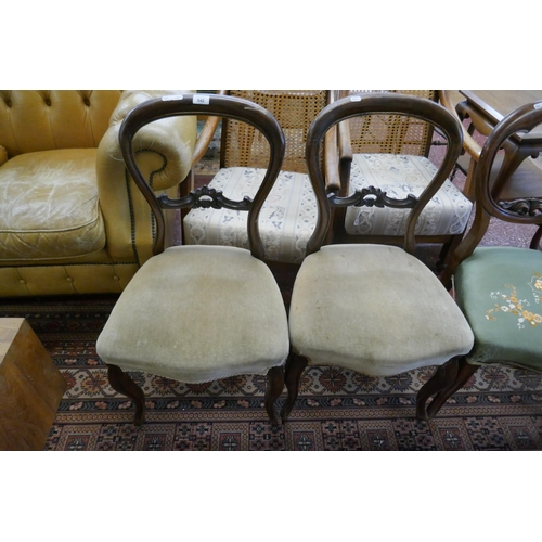 542 - 4 balloon back dining chairs