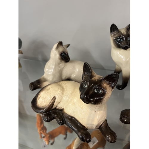 145 - Collection of Beswick cats - Approx height of tallest: 24cm