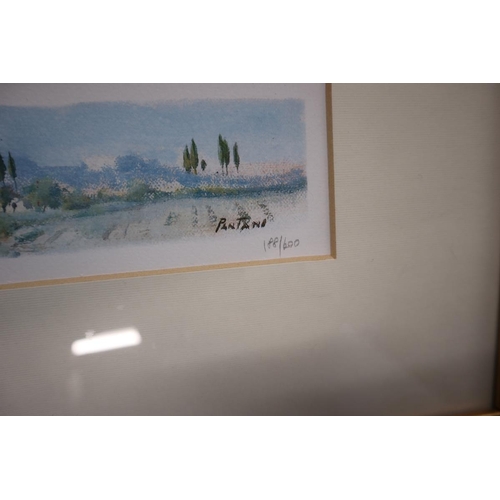 236 - 2 signed L/E landscape prints Pantani