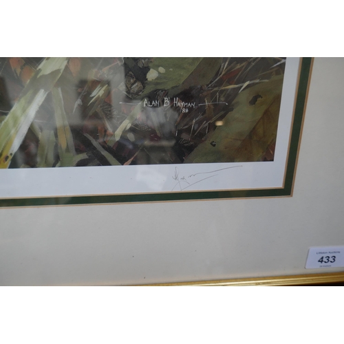 433 - Signed artist proof - 'No Hiding Place' by Alan B Haymen