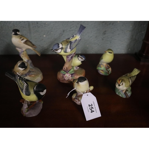 254 - Collection of Royal Worcester birds