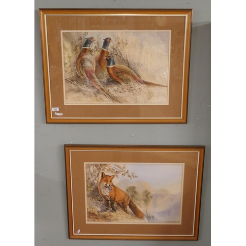 402 - Pair of watercolours by Ivor Drinkwater one of pheasants one of a fox - Approx image sizes: 58cm x 3... 