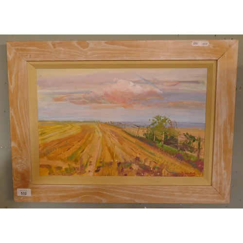 532 - Oil painting by Brian Oxley - Sunset over Romney Marsh - Approx image size: 45cm x 29cm