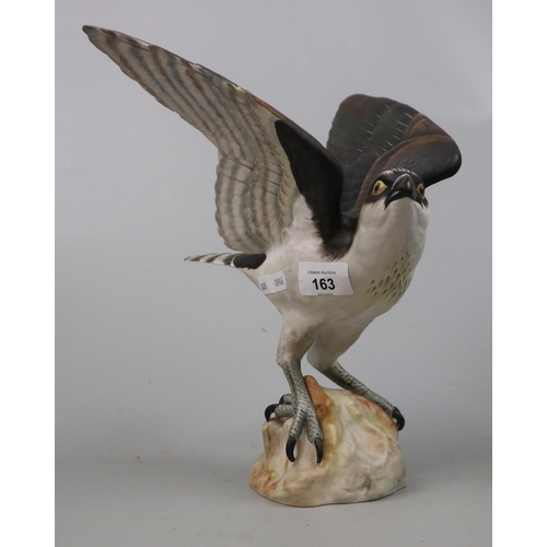 163 - A Spode fine bone china model of an osprey hand painted and marked AW to base - Approx height: 29cm