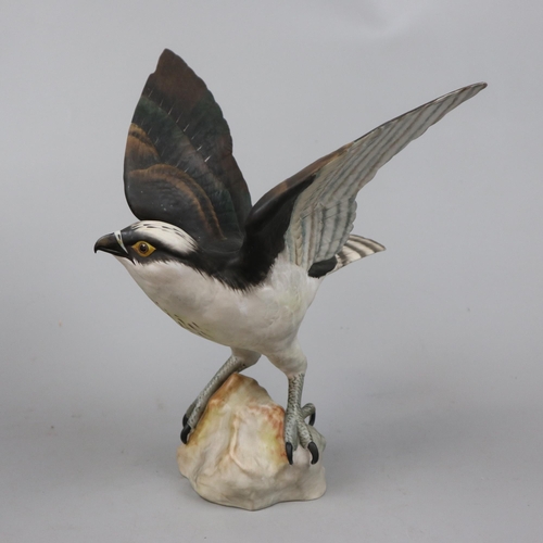 163 - A Spode fine bone china model of an osprey hand painted and marked AW to base - Approx height: 29cm