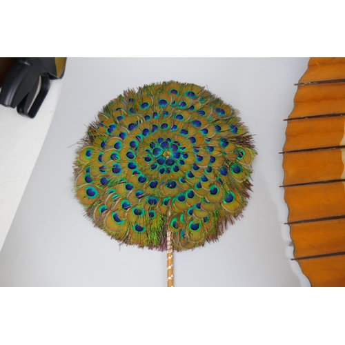 290 - Peacock feather fan together with parasol