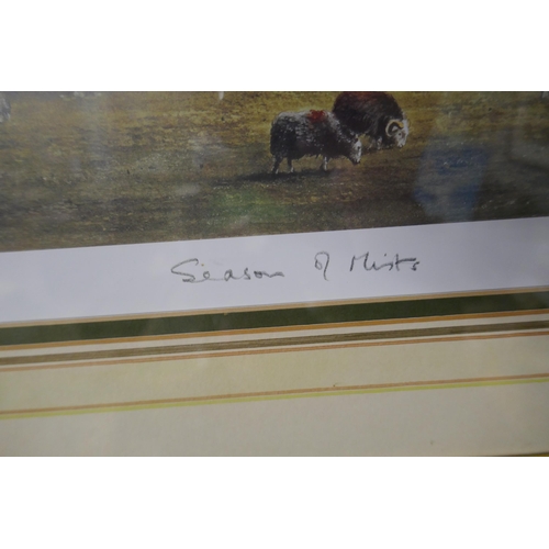 309 - Signed L/E print - Sheep in field by Alan Ingham