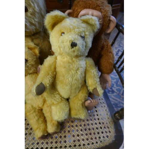 542 - Collection of old teddy bears