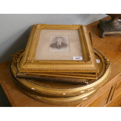 447 - Collection of antique gilt framed portraits