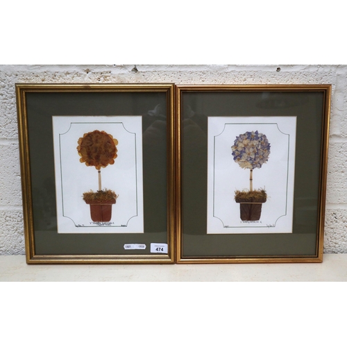 474 - 2 framed pictures of pot plants formed from flowers