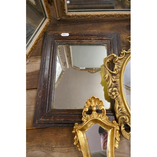 308 - Collection of mirrors