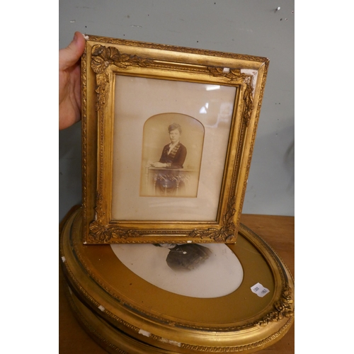 447 - Collection of antique gilt framed portraits